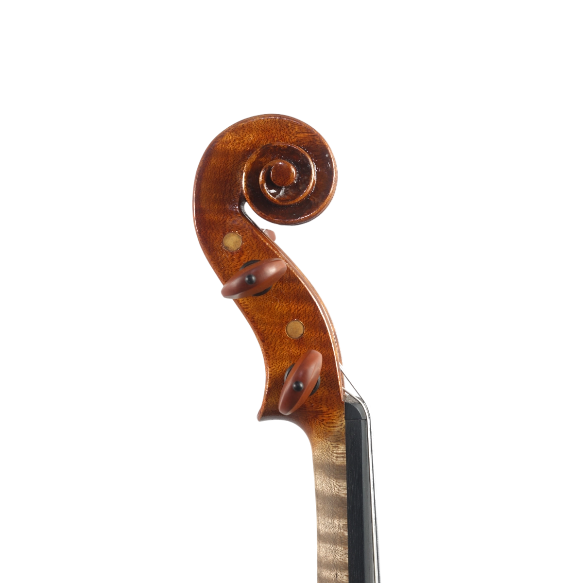  Violino Rinaldo Bellochi 2026 n758