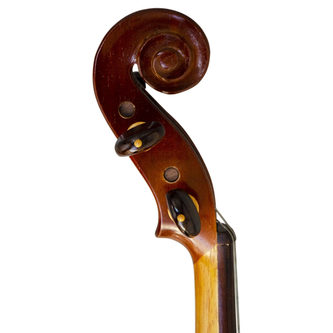 Violino Rolim Orquestra Guarneri 1742 Natural