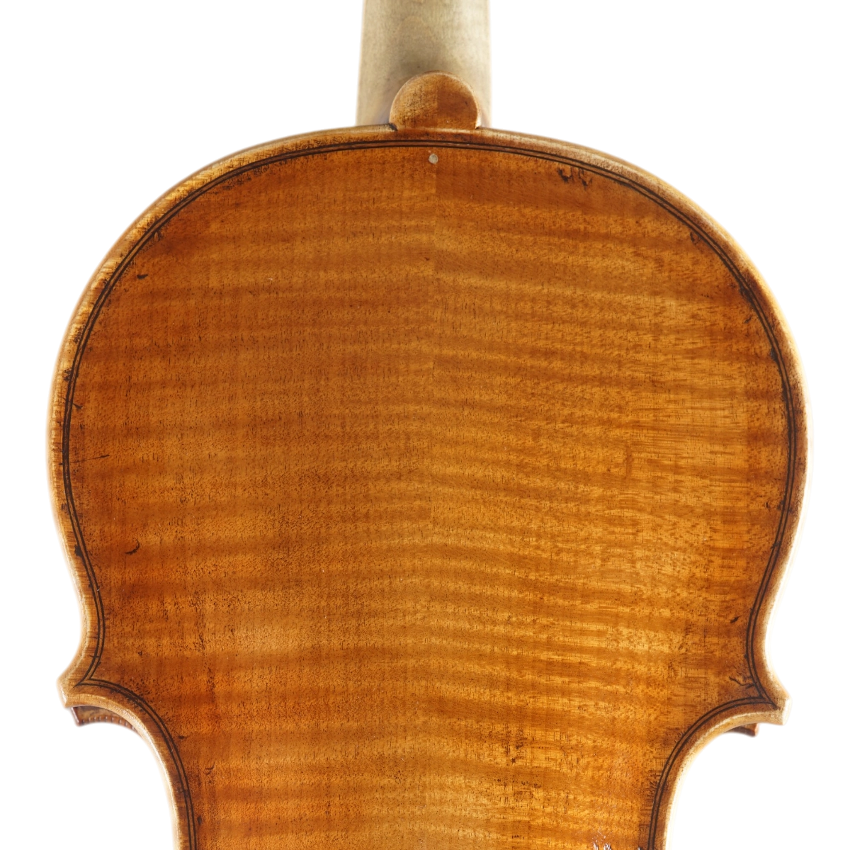 Violino Vinicius Fachinetti 2022 Amati n660