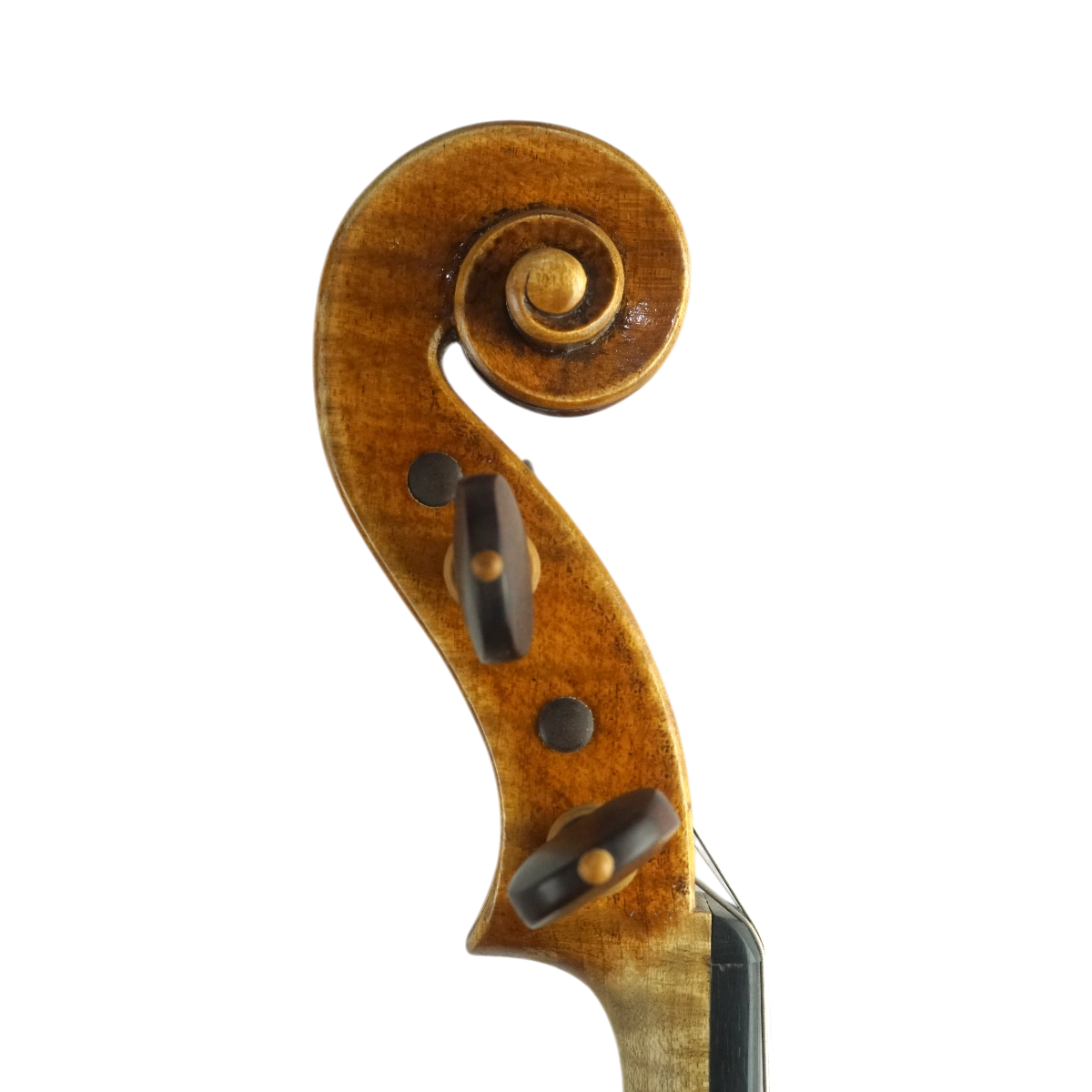 Violino Vinicius Fachinetti 2022 Amati n660
