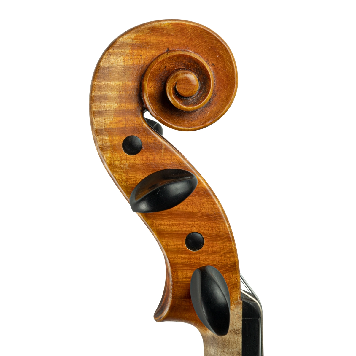 Violino Vinicius Fachinetti 2024 Guarneri n522