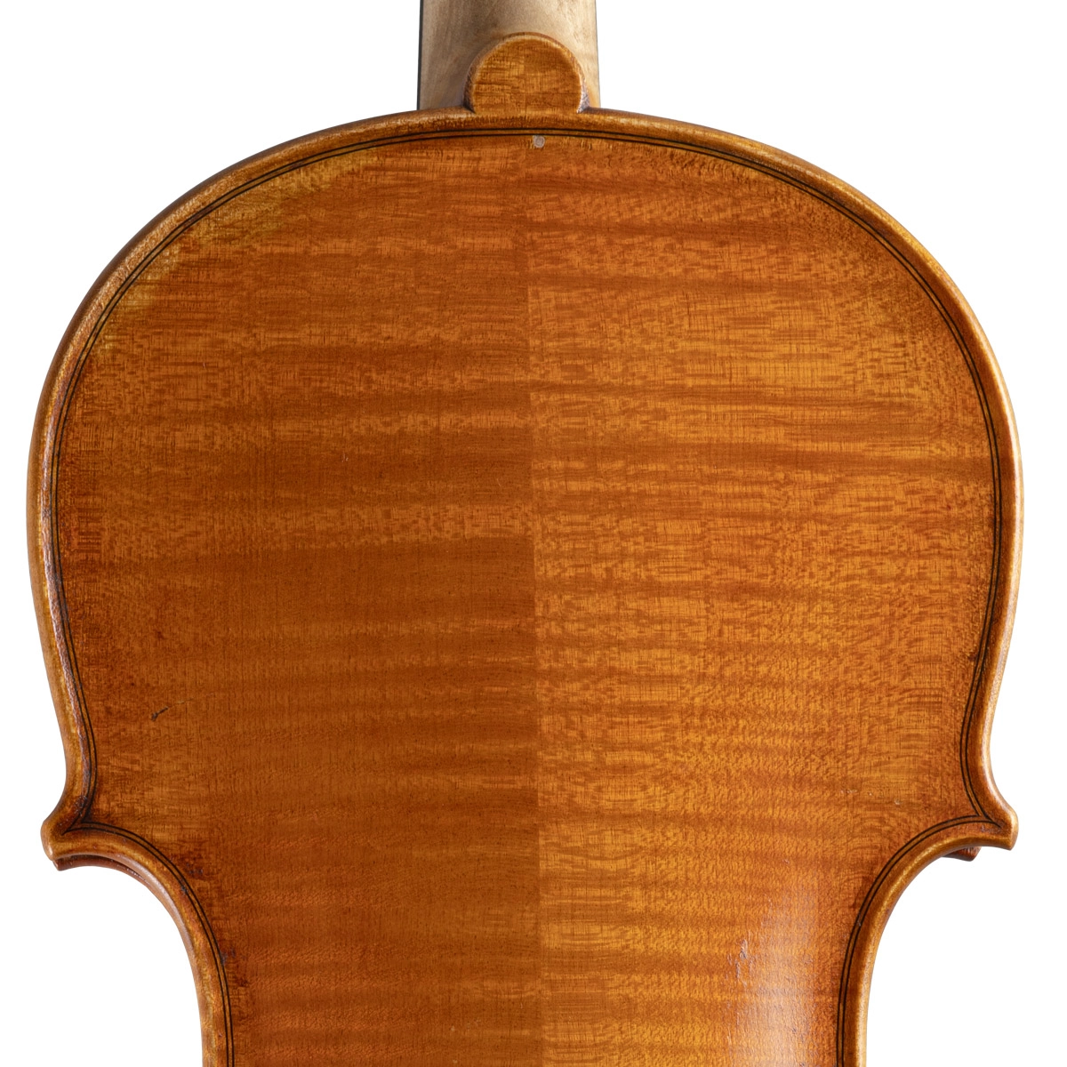 Violino Vinicius Fachinetti 2024 Guarneri n522