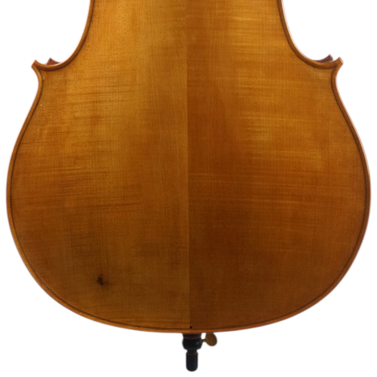 Violoncelo Alison Romano 2025 n631