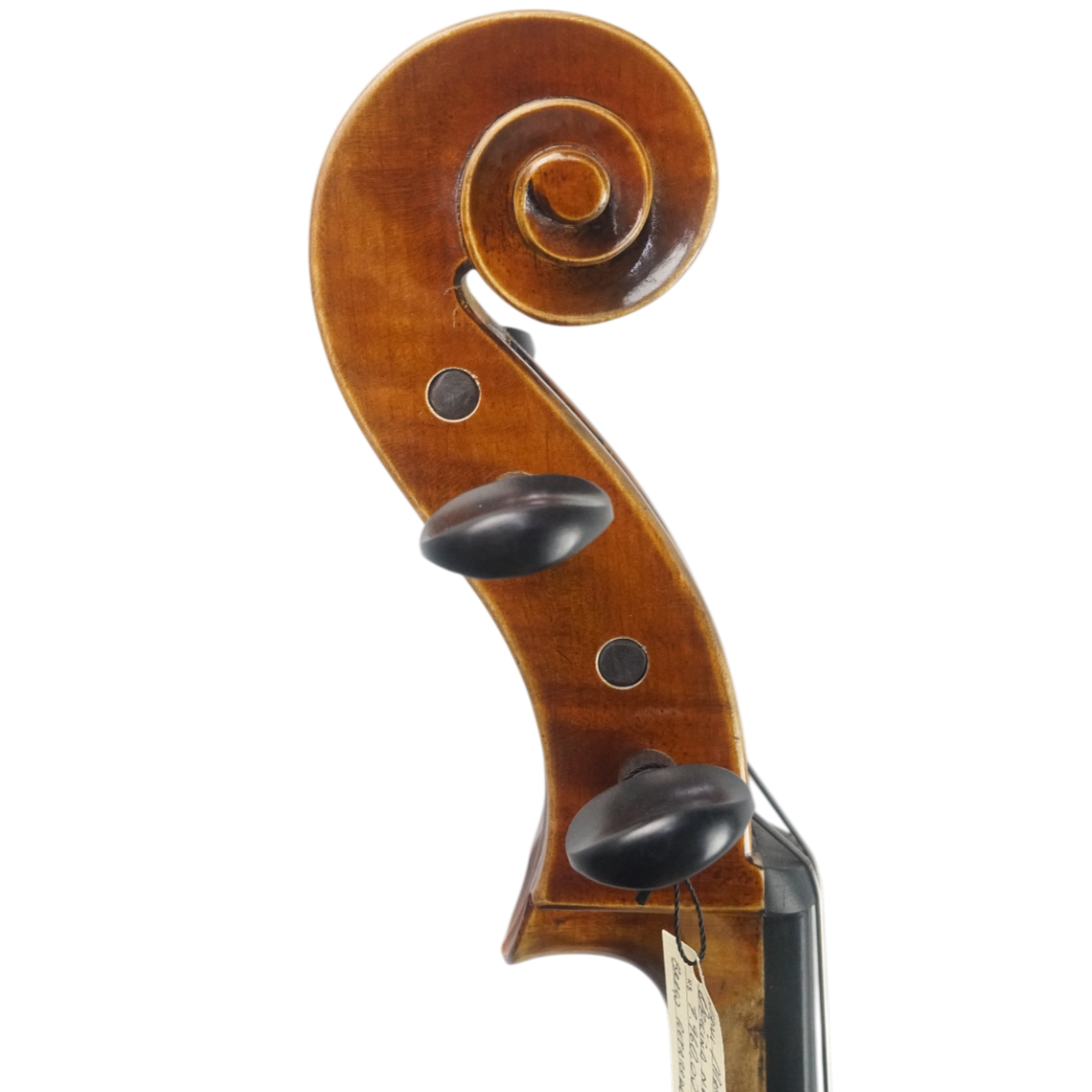 Violoncelo Antoni Marsale Oficina 2024 Grau B n651