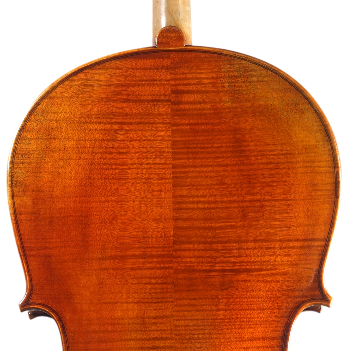 Violoncelo Antoni Marsale Oficina 2025 Grau AA n737