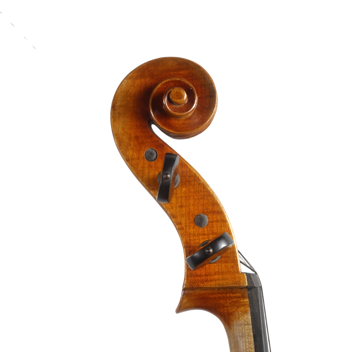 Violoncelo Antoni Marsale Oficina 2025 Grau AA n737