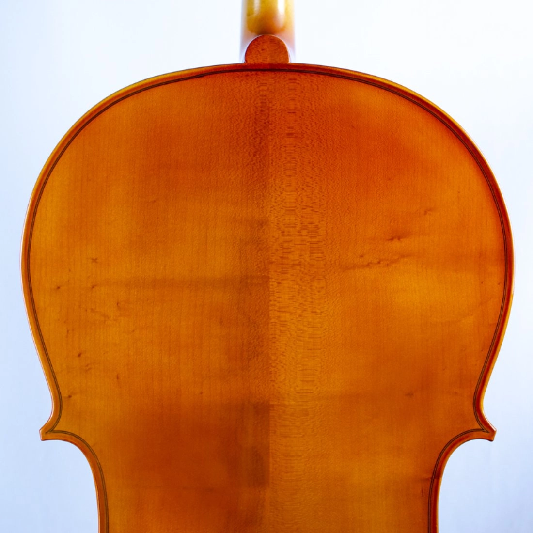 Fundo Acero Violoncelo Antoni Marsale Série HC110 Stradivari