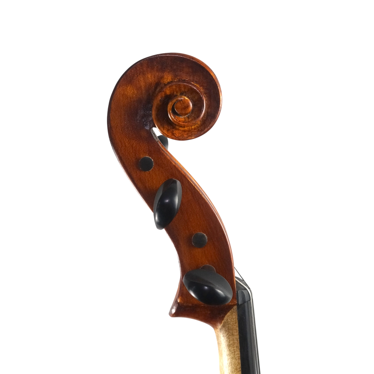 Violoncelo Daniel M M Silva 2025 Stradivari n661