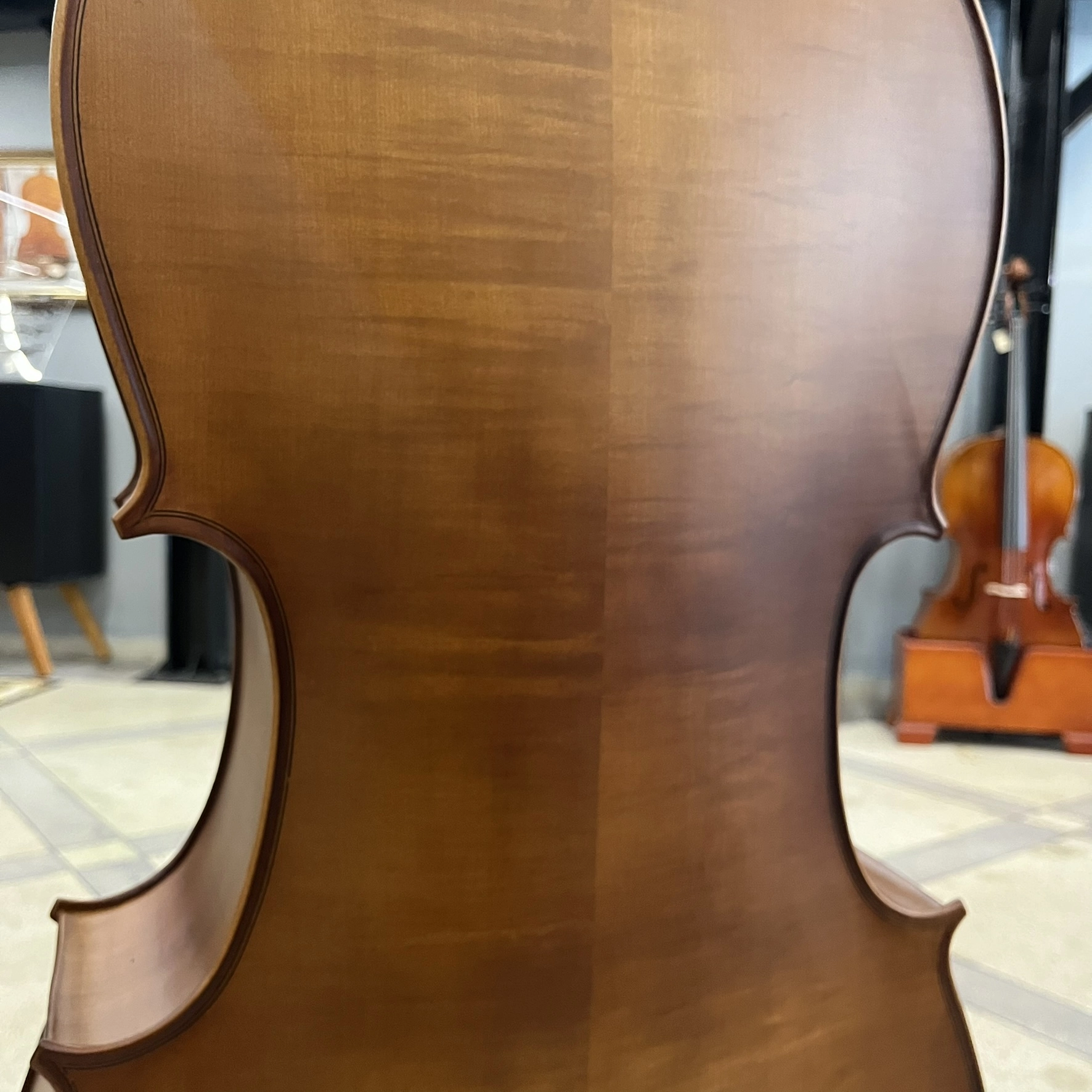 Violoncelo Eagle Master Série CE300 4/4