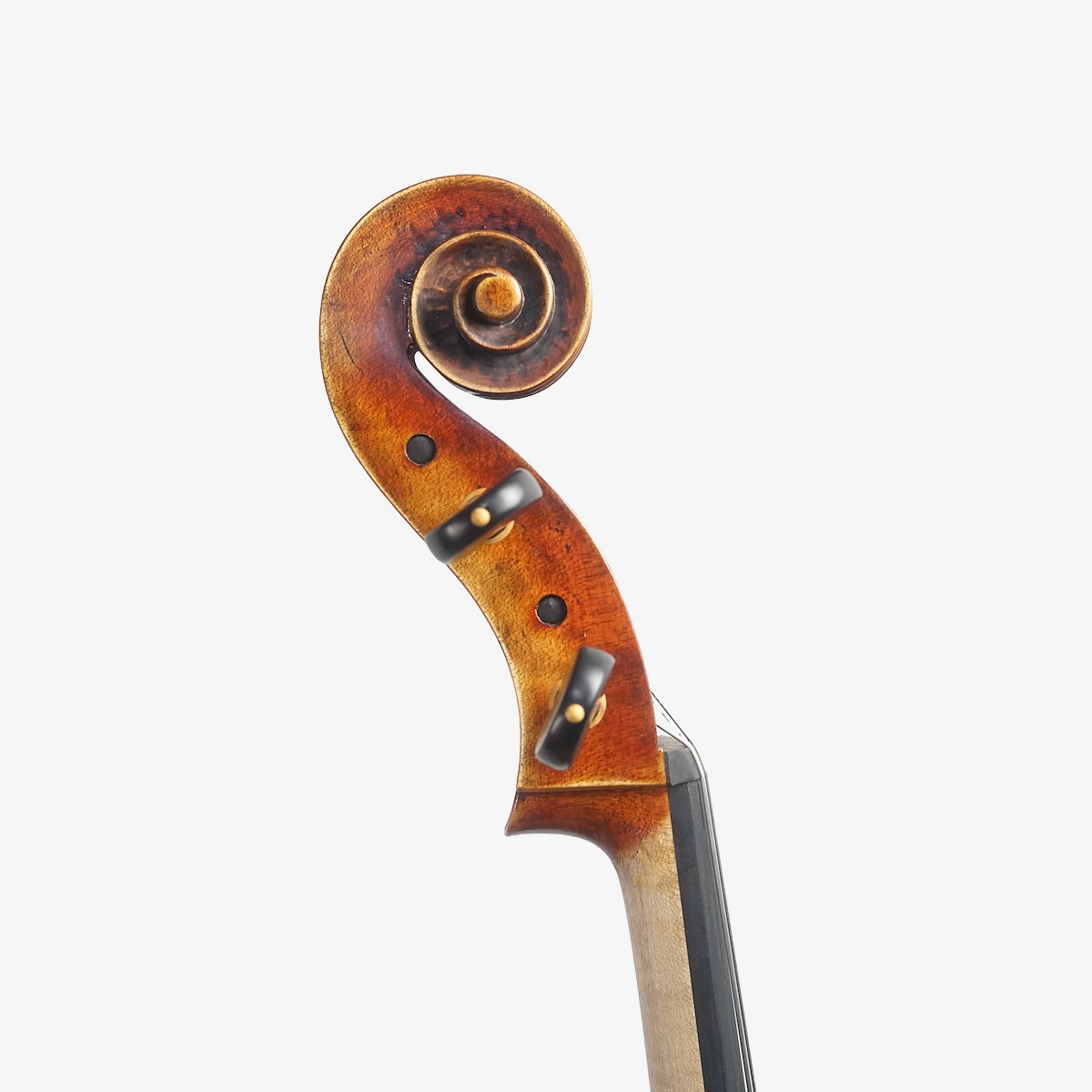 Violoncelo Luthier Adriano Alberge 2026 n826 Violoncelo Luthier Adriano Alberge 2026 n826