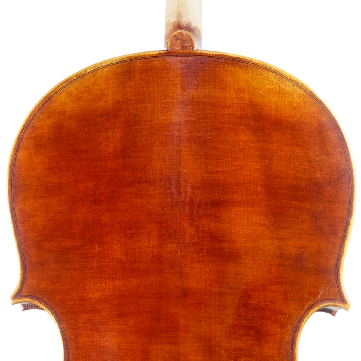 Violoncelo Luthier Felipe Rodrigues 2025 Montagnana n697