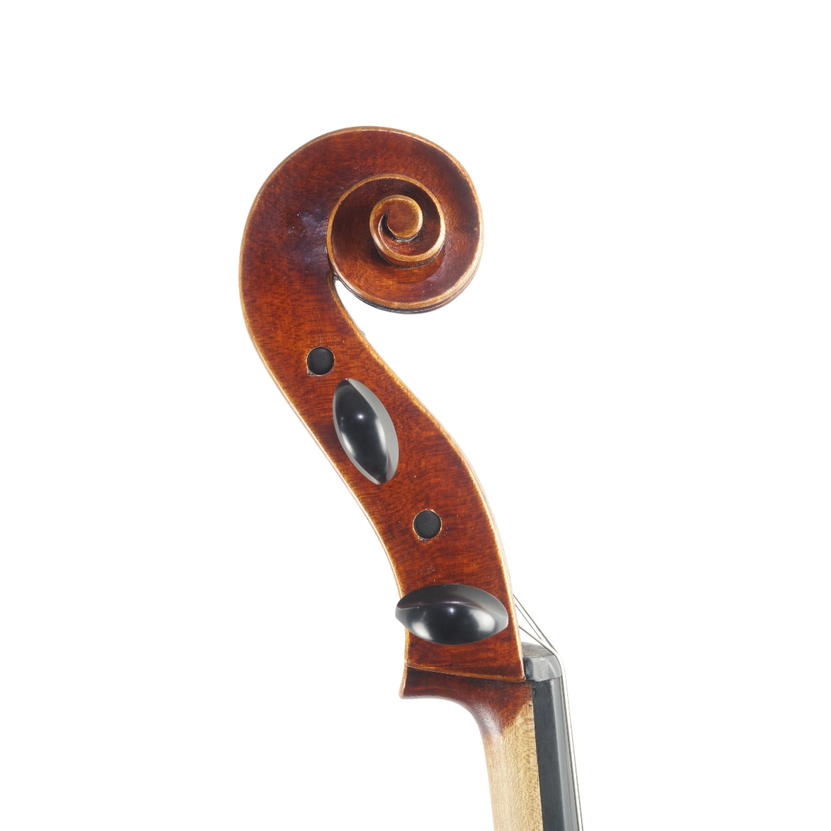 Violoncelo Luthier Felipe Rodrigues 2025 Montagnana n697