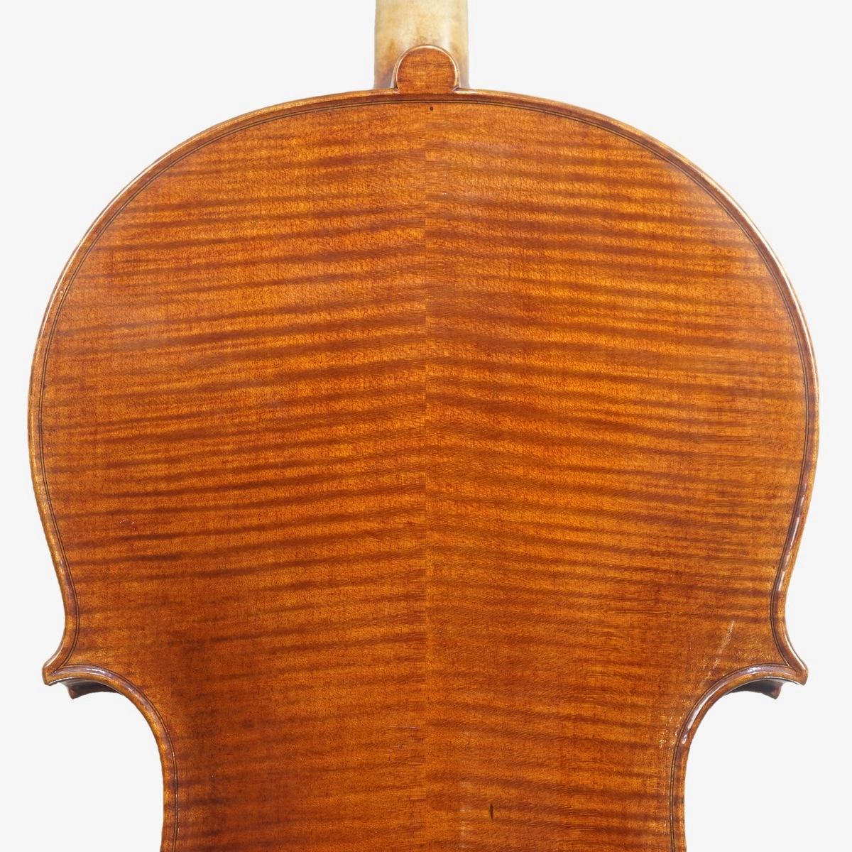 Violoncelo Luthier Felipe Soares 2026 n830 Violoncelo Luthier Felipe Soares 2026 n830