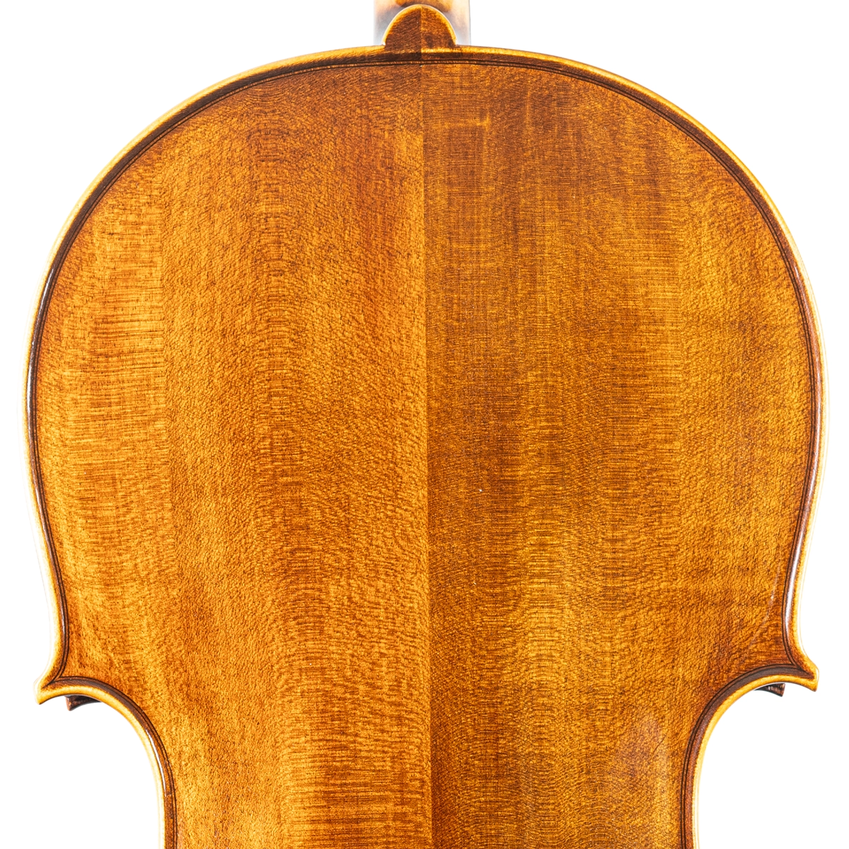  Violoncelo Rolim J A Francis Custom 2024 Montagnana n16