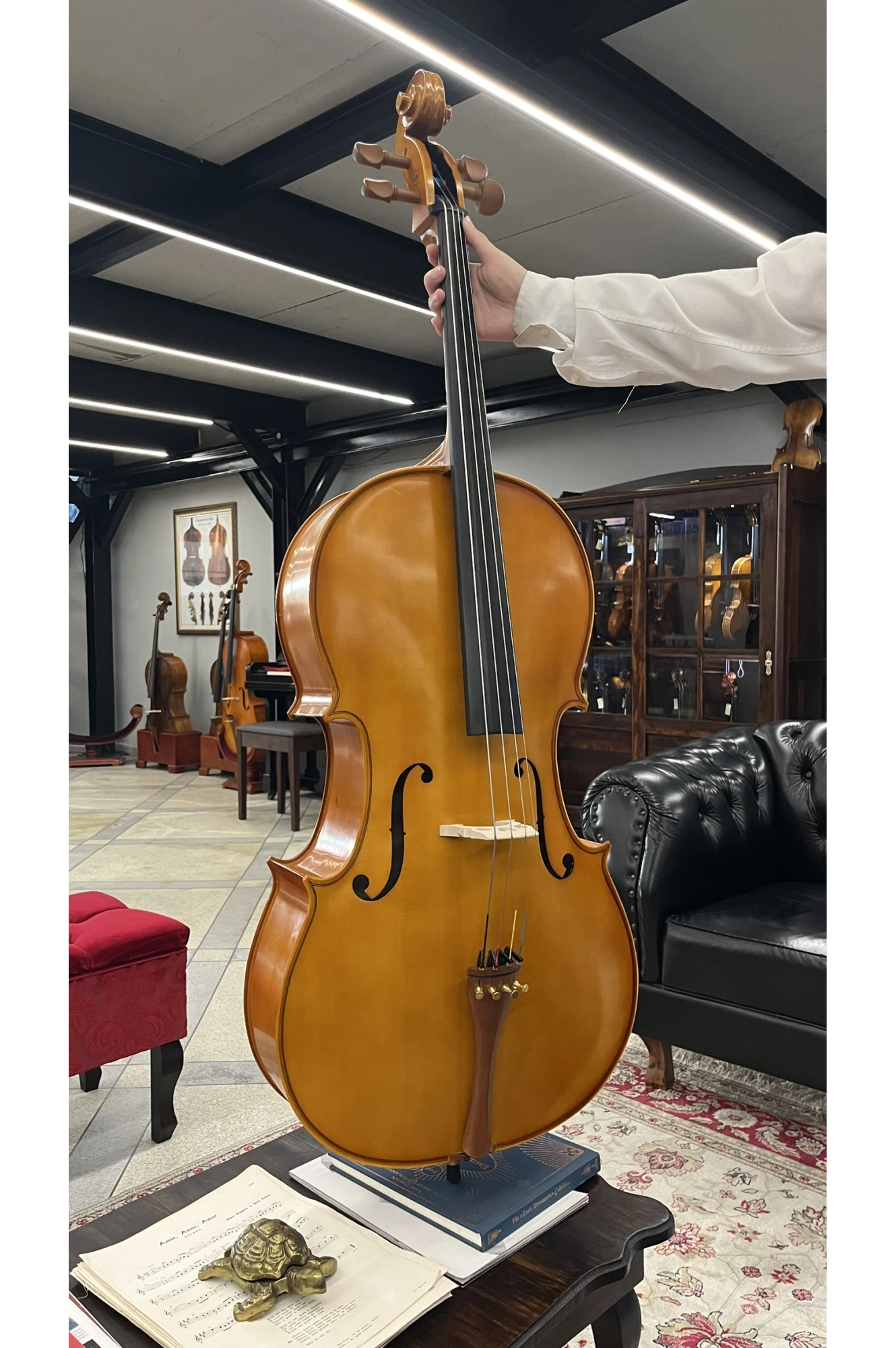 Violoncelo Antoni Marsale Série HC110 Stradivari - Avaria U109