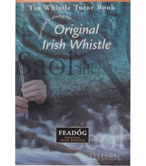Imagem do produto Kit Flauta Irlandesa Feadóg Re D Escovada com Livro Tutorial e CD