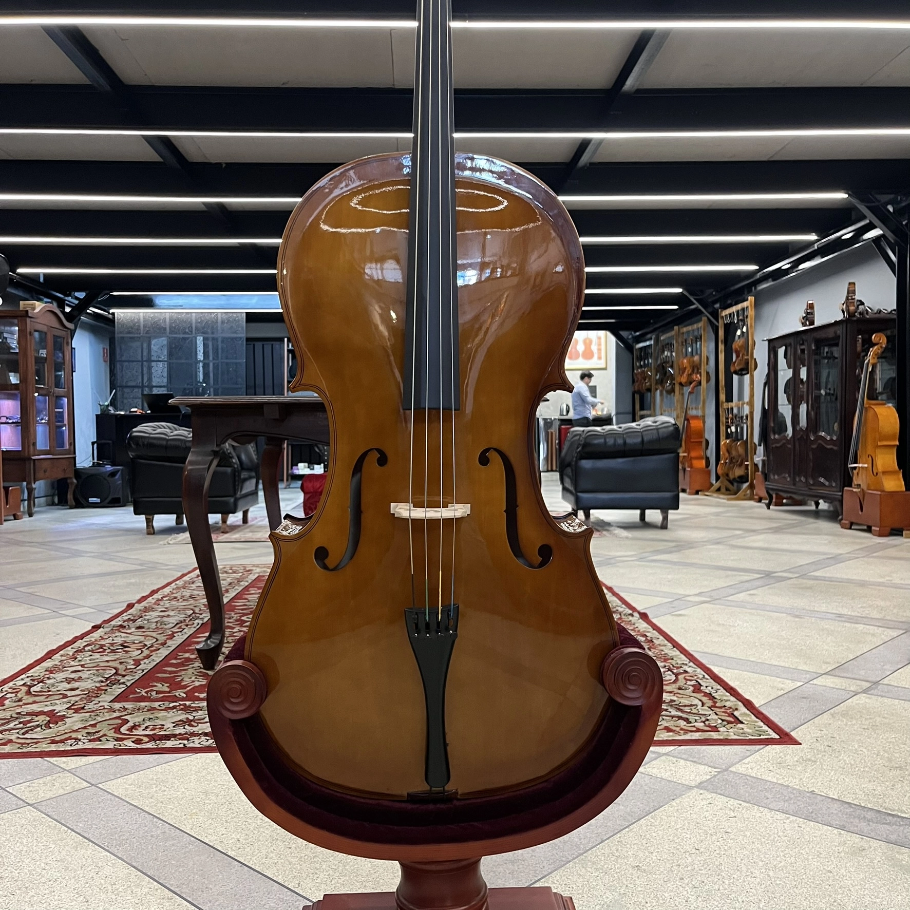 Violoncelo Erudithus Série YC100 Brown 4/4 - Usado U136