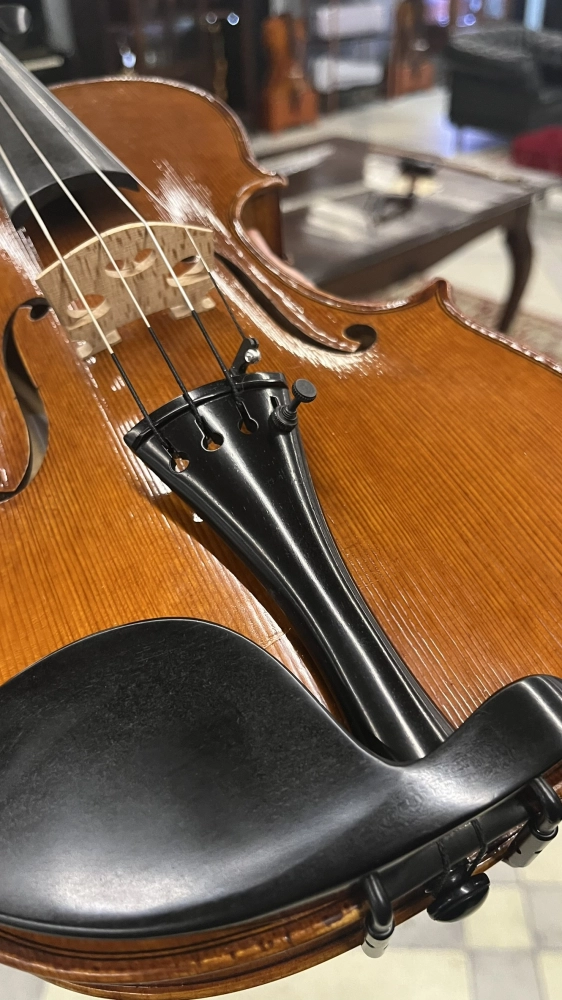 Estandarte Violino Ébano French Antoni Marsale 4/4