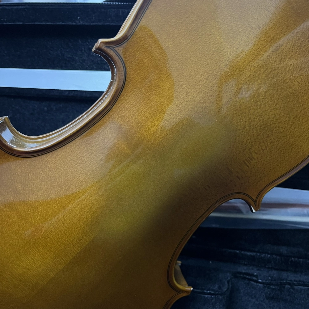 Violino Erudithus Série HV100 Brown 4/4 - Avaria U128