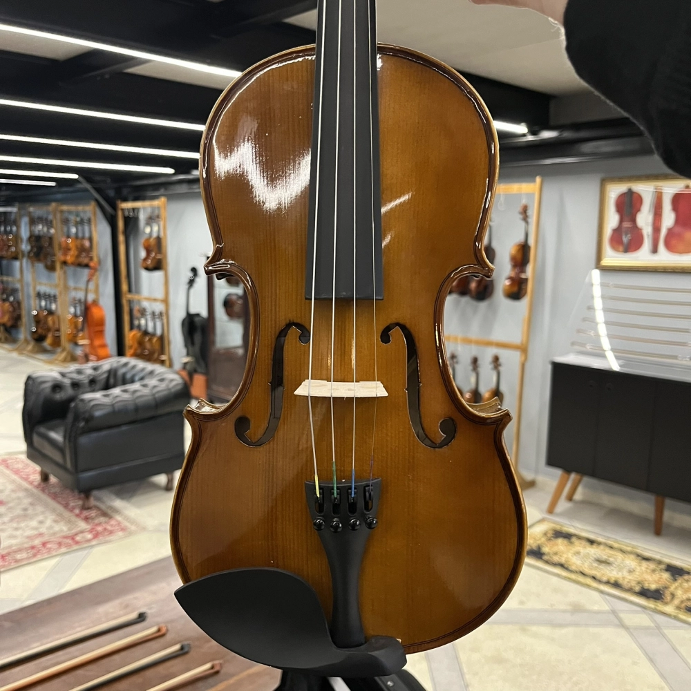 Violino Erudithus Série HV100 Brown 4/4 - Avaria U128