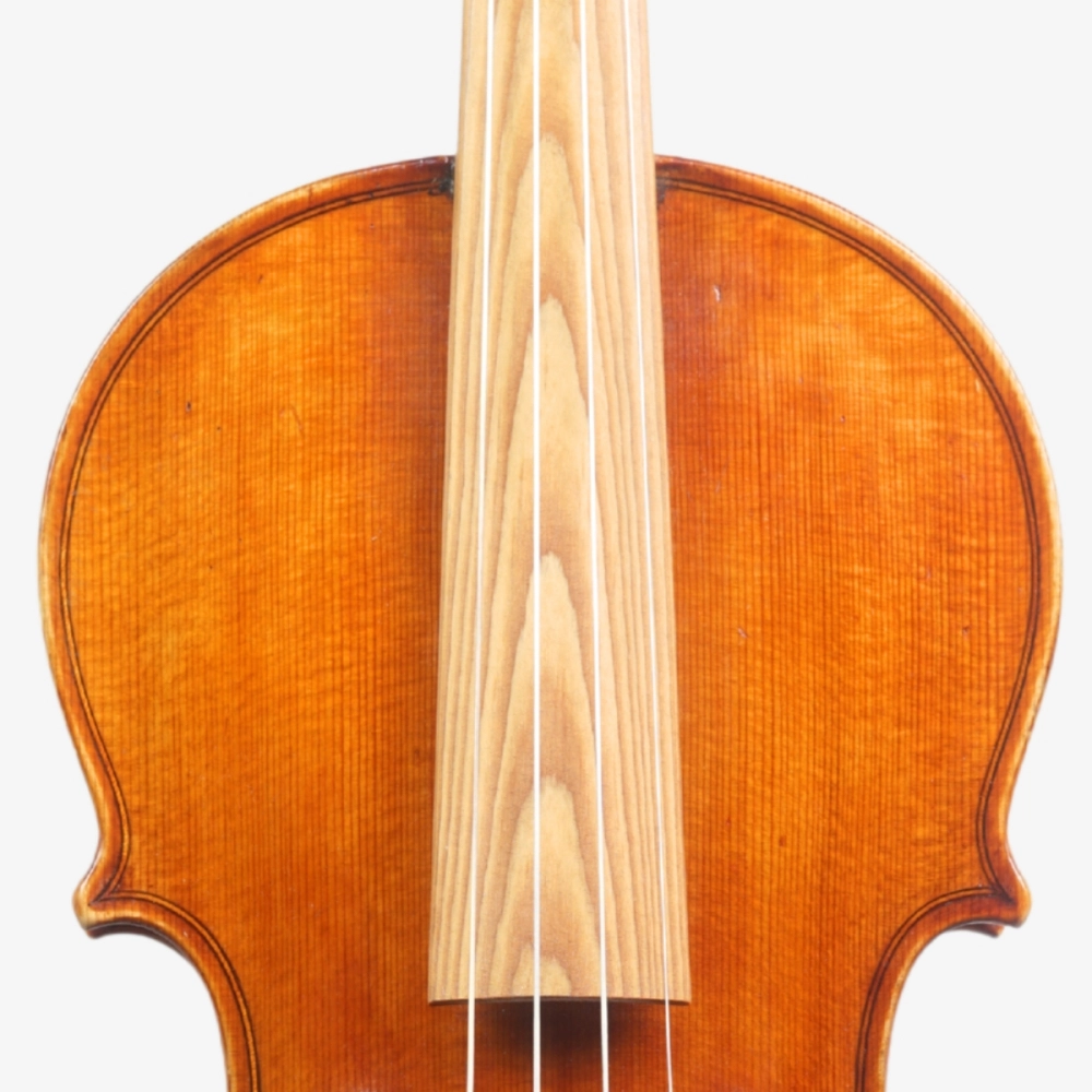 Violino Luthier Rodolfo Bettio 2020 Terrarium n829