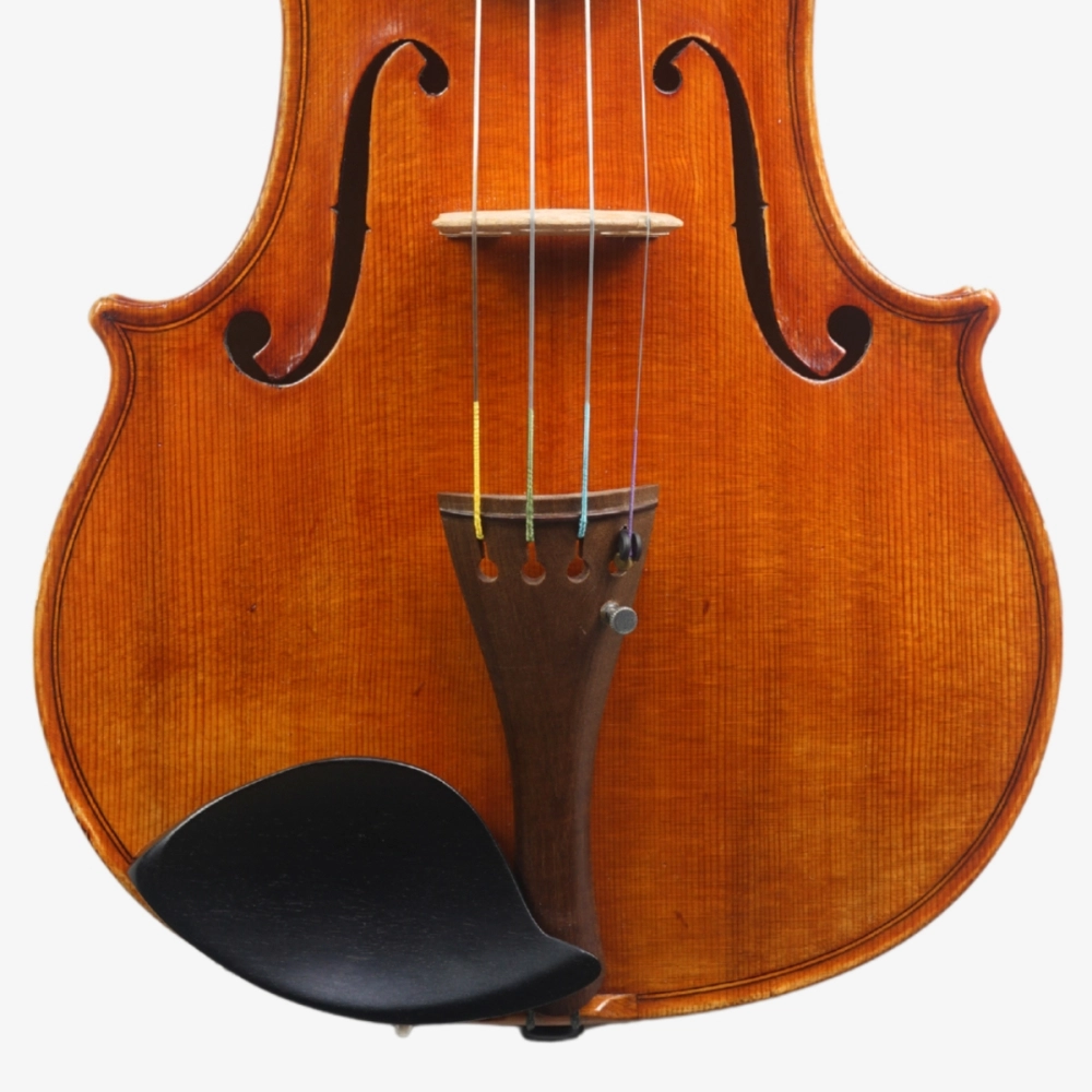 Violino Luthier Rodolfo Bettio 2020 Terrarium n829