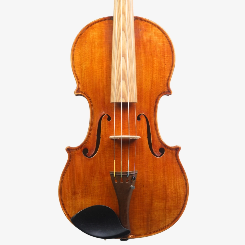 Violino Luthier Rodolfo Bettio 2020 Terrarium n829