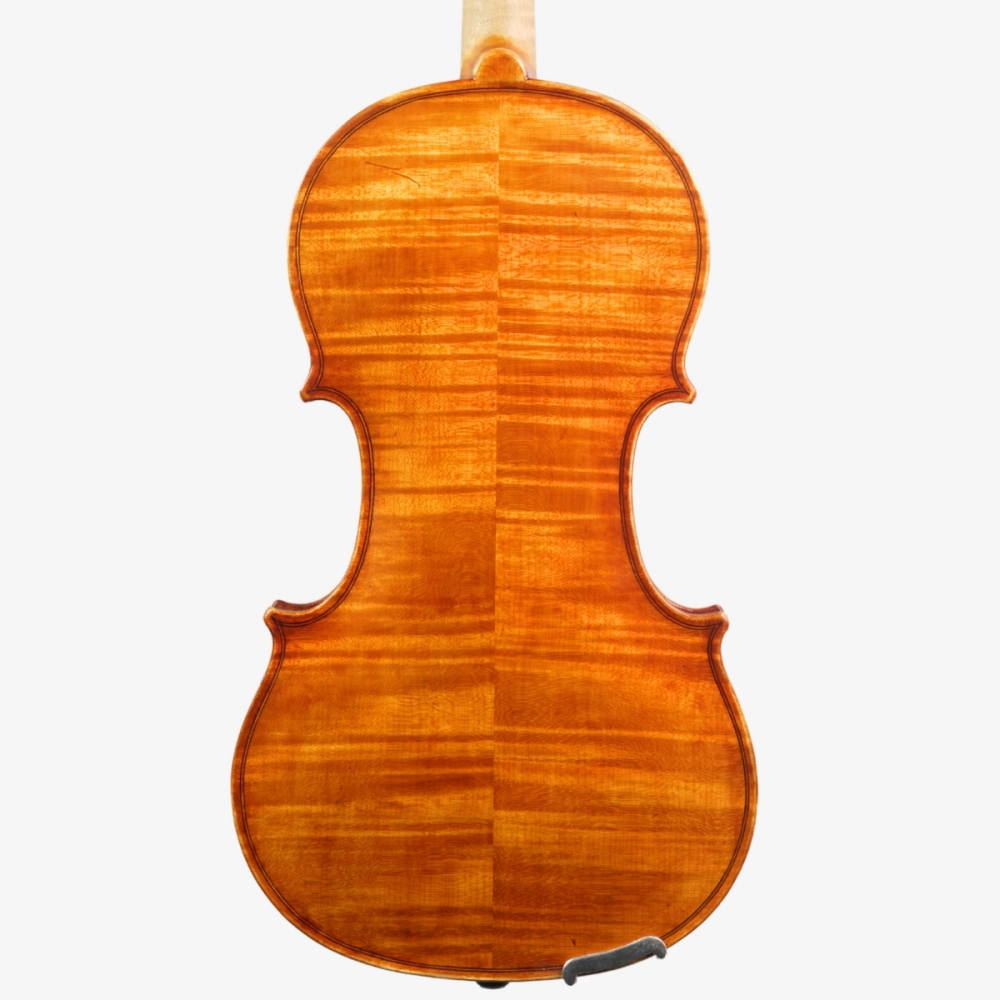 Violino Luthier Rodolfo Bettio 2020 Terrarium n829