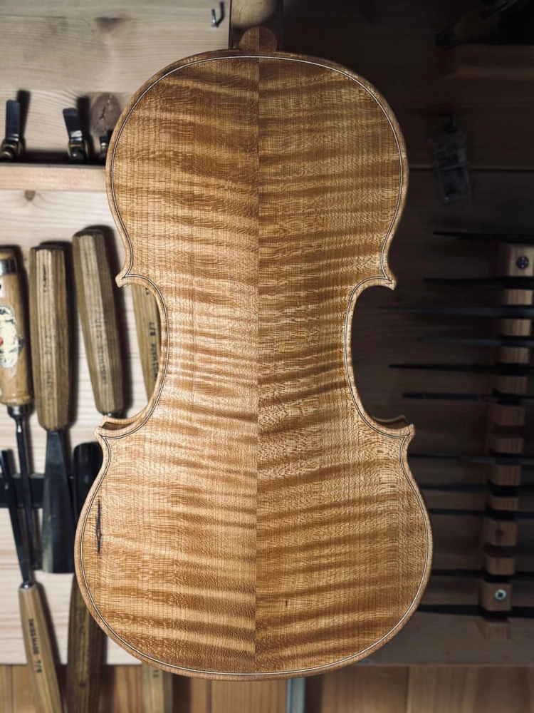 Violino Luthier Vinicius Fachinetti 2025 n825