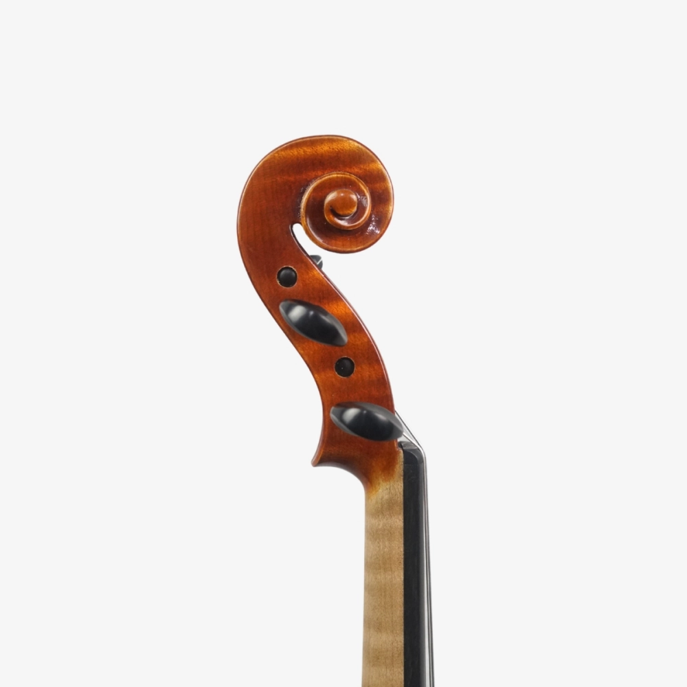 Violino Marsale Brasiliano 2026 Grau A n809 - Voluta