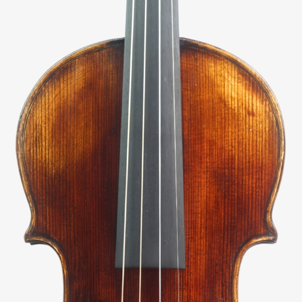 Violino Marsale Brasiliano 2026 n814 - Espelho
