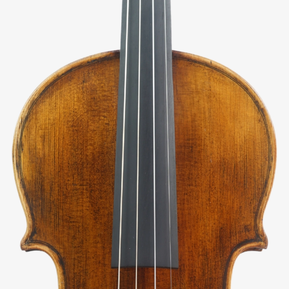 Violino Marsale Brasiliano 2026 n817 - Espelho