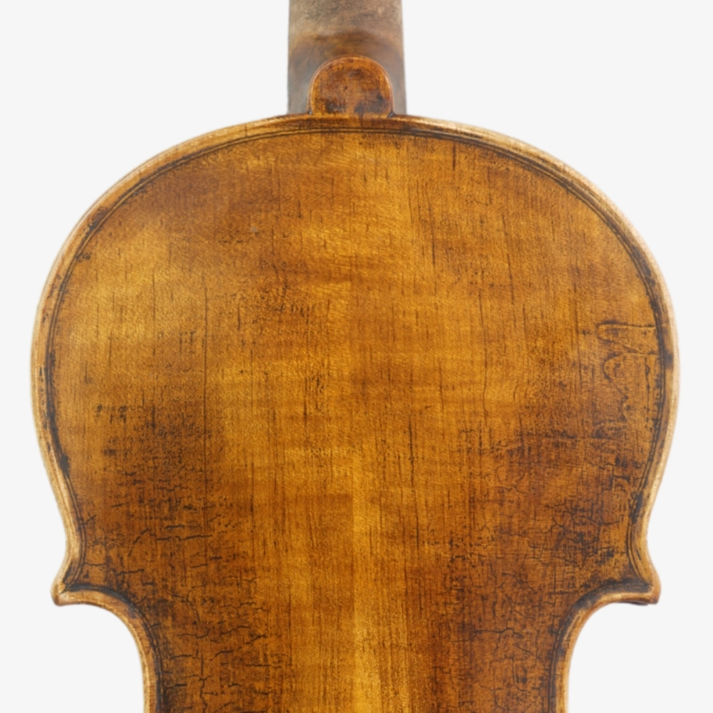 Violino Marsale Brasiliano 2026 n817 - Verso Superior