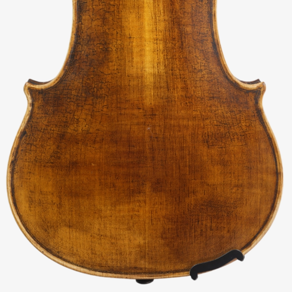 Violino Marsale Brasiliano 2026 n817 - Verso Inferior