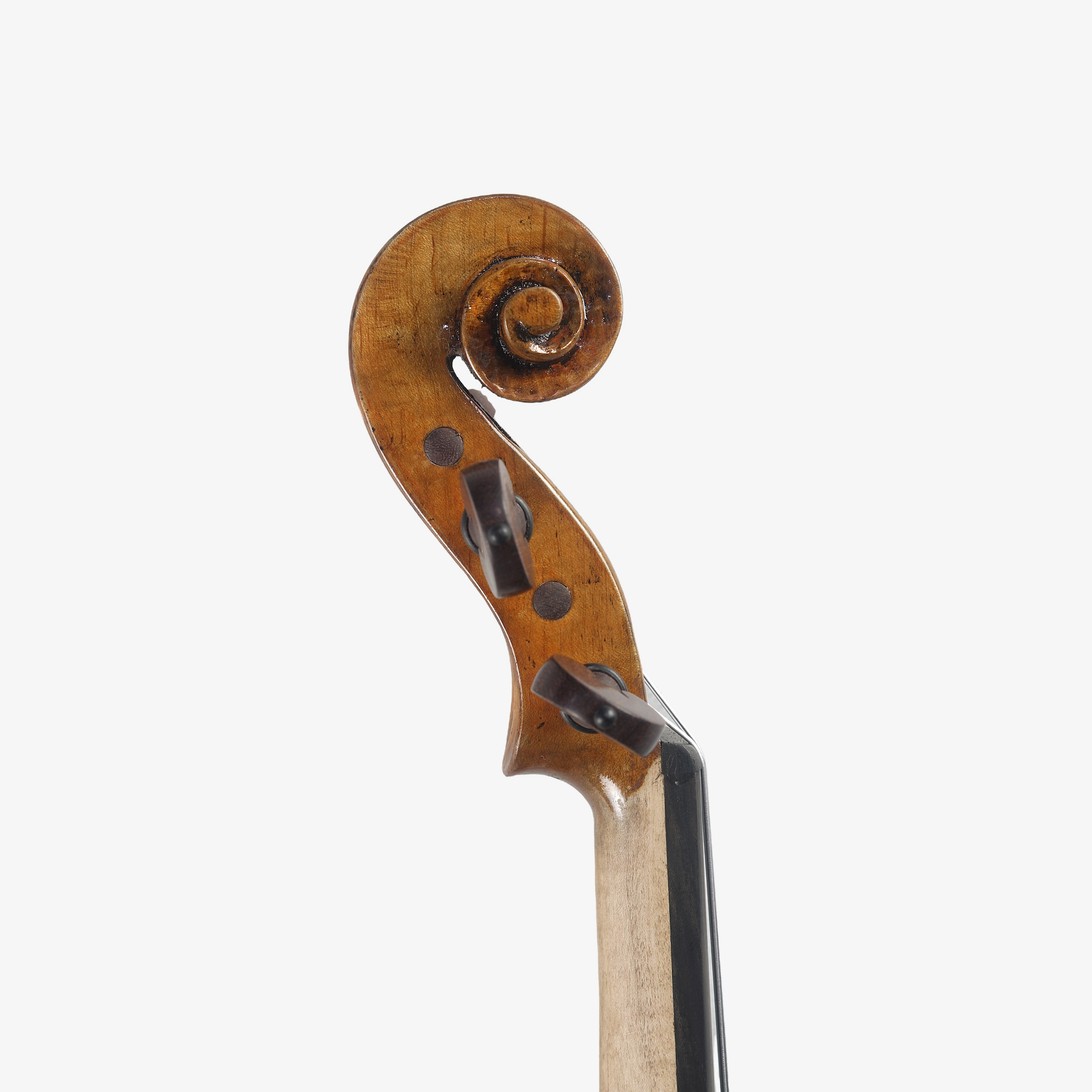Violino Marsale Brasiliano 2026 Stradivari n831