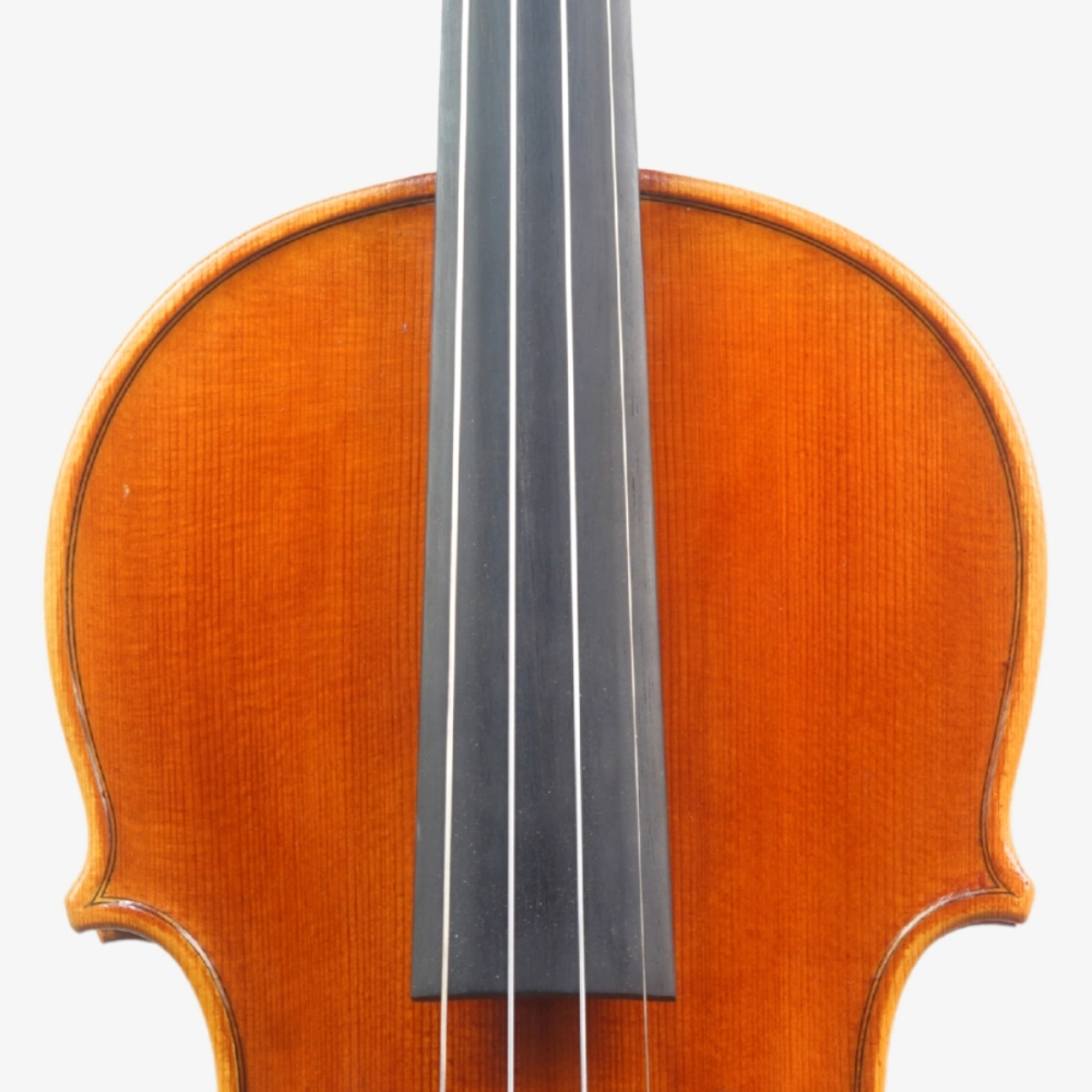 Violino Rinaldo Bellochi 2026 n823 - Espelho