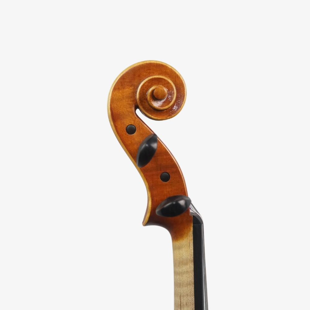 Violino Rinaldo Bellochi 2026 n823 - Voluta