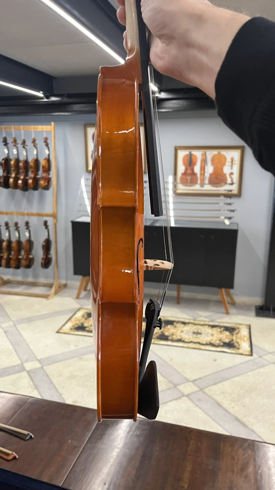 Violino Tarttan Série 100 Natural 4/4 - Usado U121