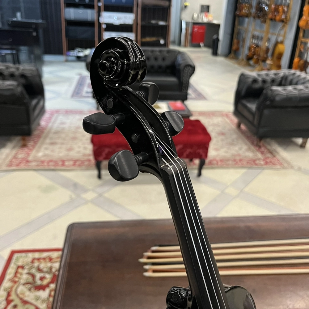 Violino Tarttan Série 100 Preto Brilho 4/4 - Avaria U145