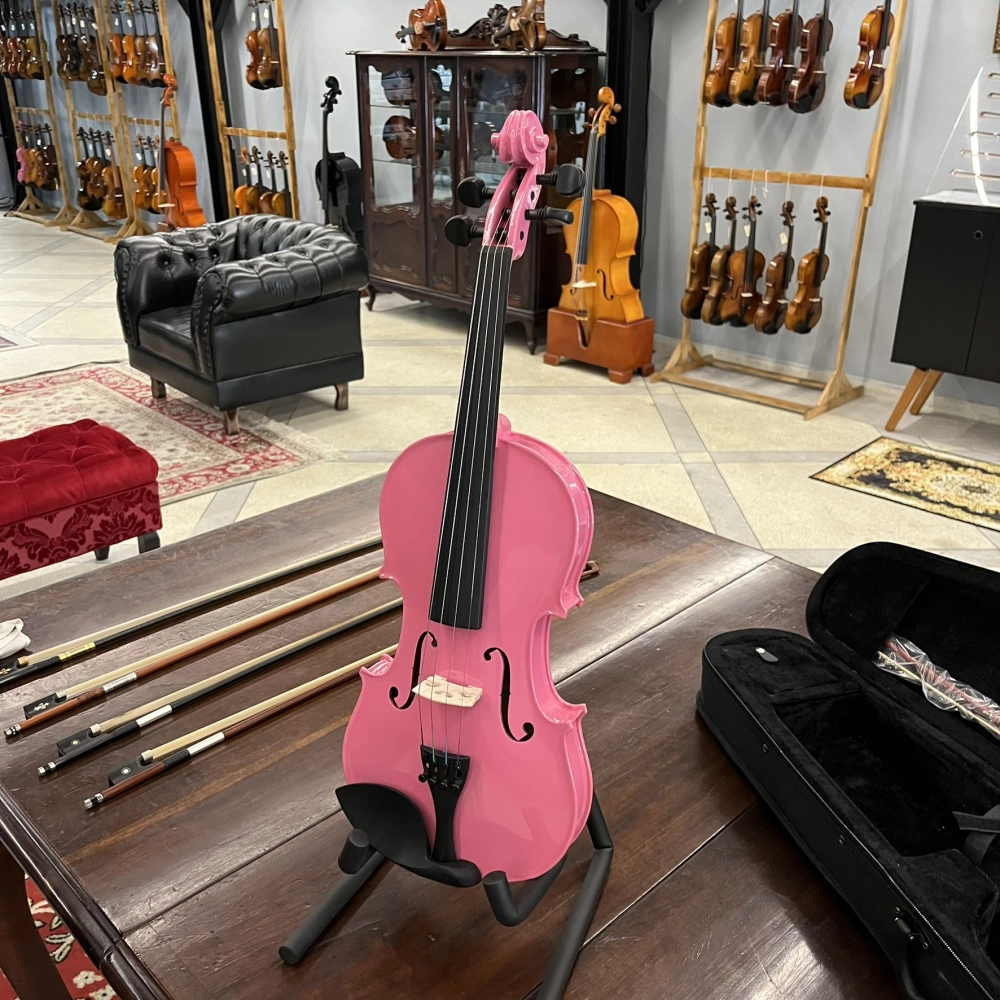 Violino Tarttan Série 100 Rosa 4/4 - Avaria U135