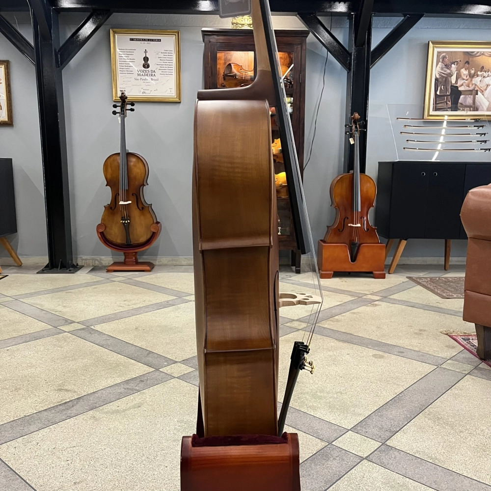 Violoncelo Eagle Master Série CE300 4/4