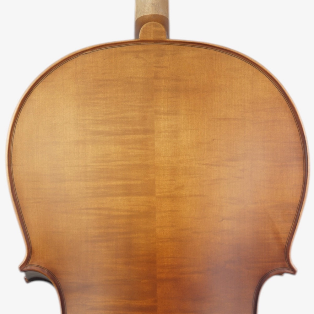 Violoncelo Eagle Master Série CE300 4/4