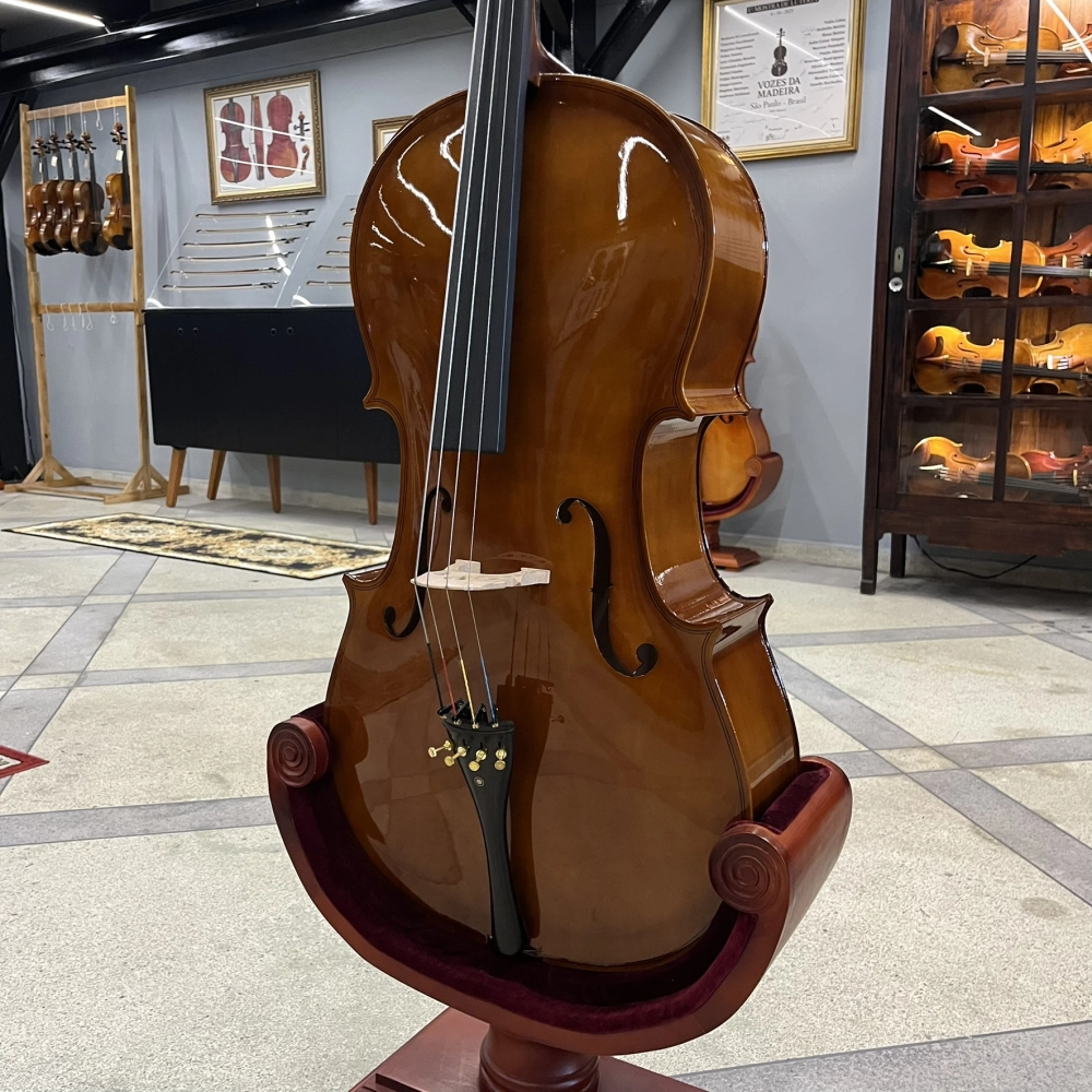 Violoncelo Erudithus Série YC100 Brown 4/4 - Usado 2024 U139