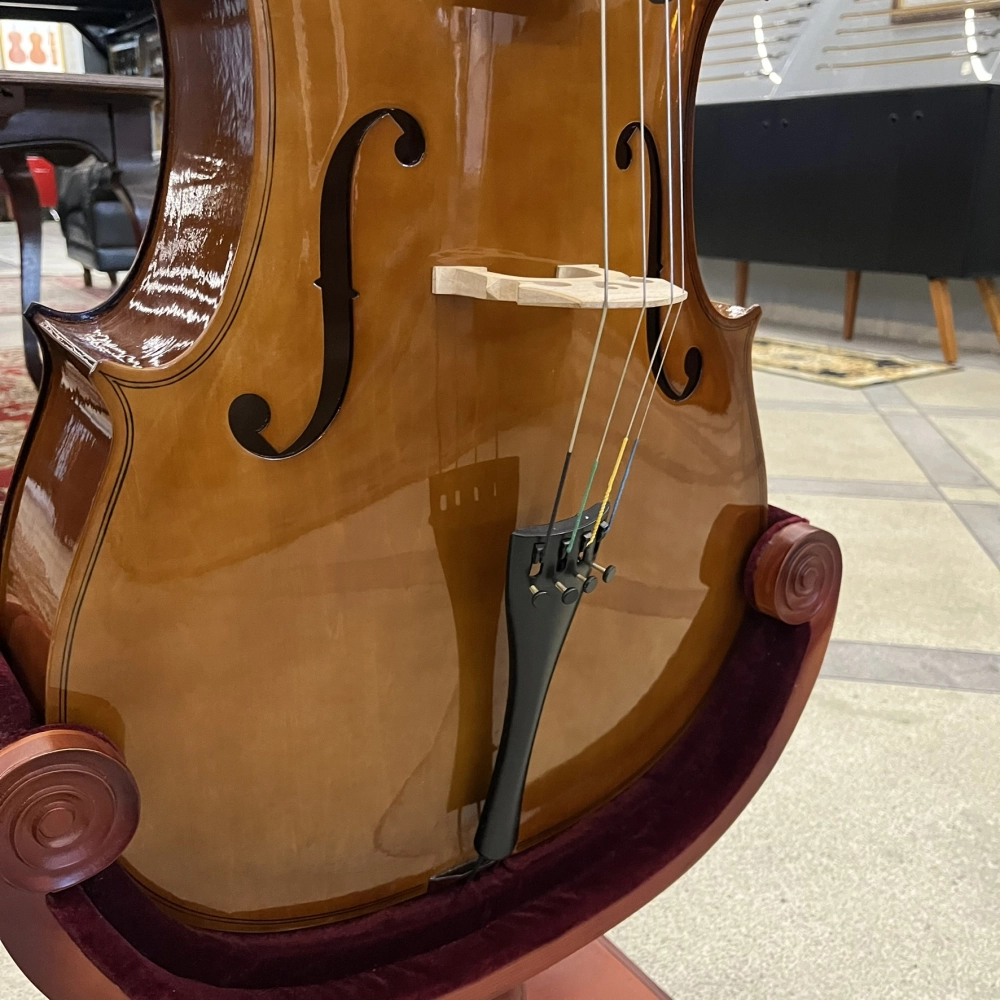 Violoncelo Erudithus Série YC100 Brown 4/4 - Usado U136