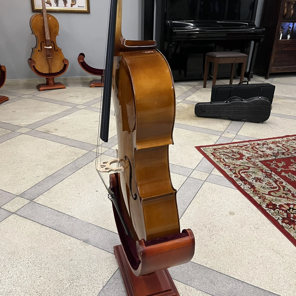 Violoncelo Erudithus Série YC100 Brown 4/4 - Usado U136