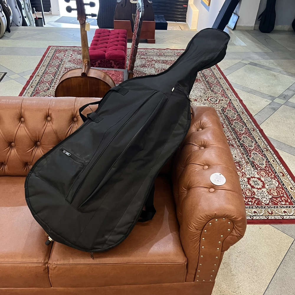 Violoncelo Erudithus Série YC100 Brown 4/4 - Usado U136