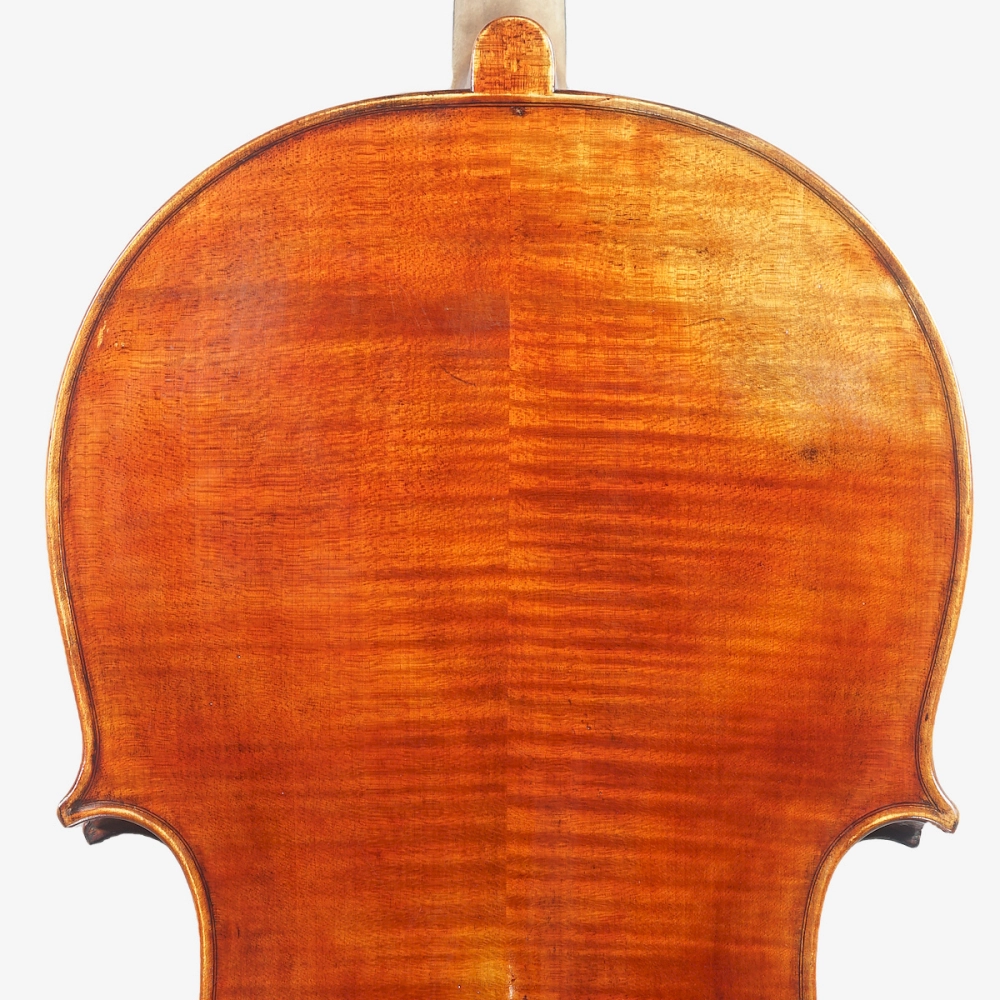 Violoncelo Luthier Adriano Alberge 2026 n826