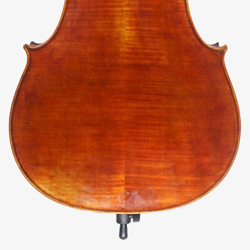 Violoncelo Luthier Adriano Alberge 2026 n826