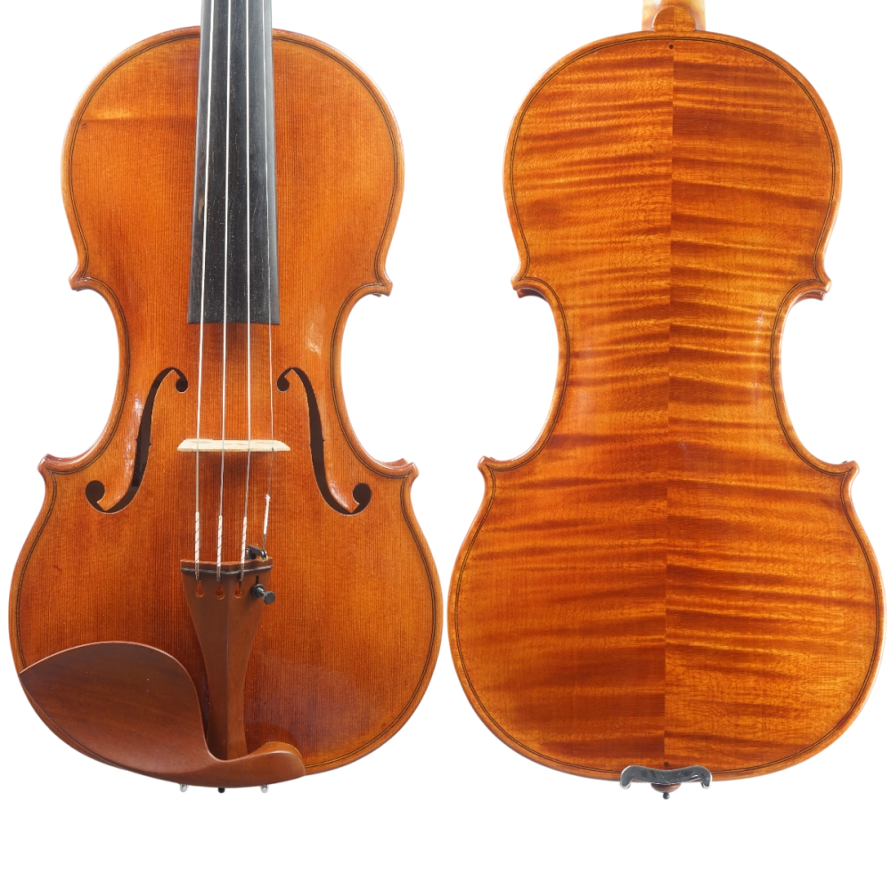 Violino Diego Castro 2025 n665