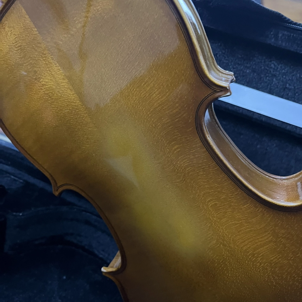 Violino Erudithus Série HV100 Brown 4/4 - Avaria U128